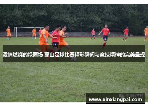 激情燃烧的绿茵场 蒙山足球比赛精彩瞬间与竞技精神的完美呈现