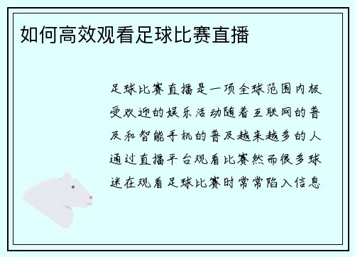 如何高效观看足球比赛直播